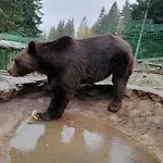 Vlasicka Prica Eko Fis Appartement *