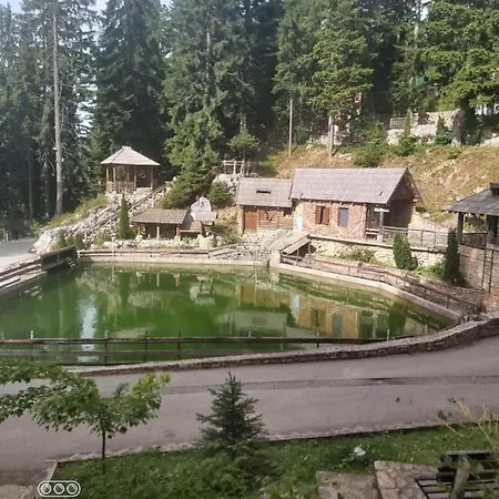 Vlasicka Prica Eko Fis Vlašić