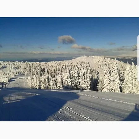 Vlasicka Prica Eko Fis * Vlašić