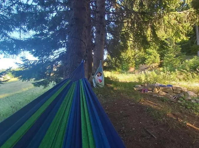 Vlasicka Prica Eko Fis * ヴラシチ