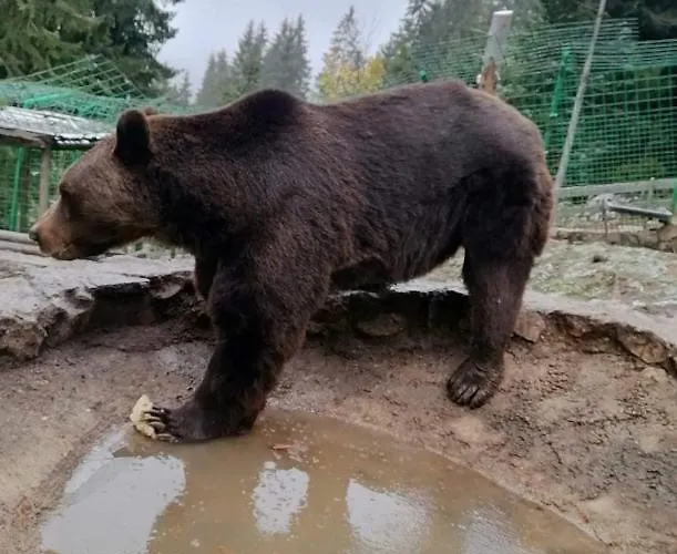 Vlasicka Prica Eko Fis アパート *